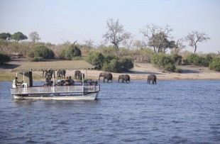 Chobe-Under-Canvase-Boat