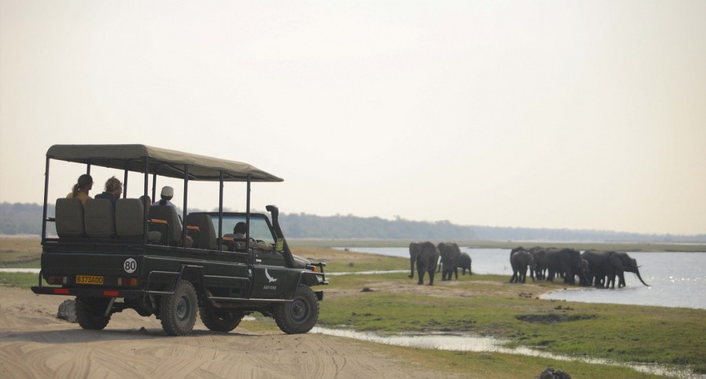 Chobe_under_canvas_gamedrive1