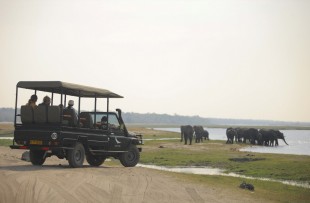 Chobe_under_canvas_gamedrive1