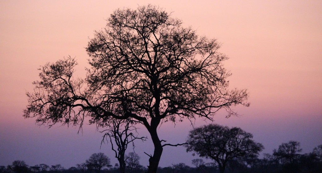 Night-Sky-Africa-Pixaba