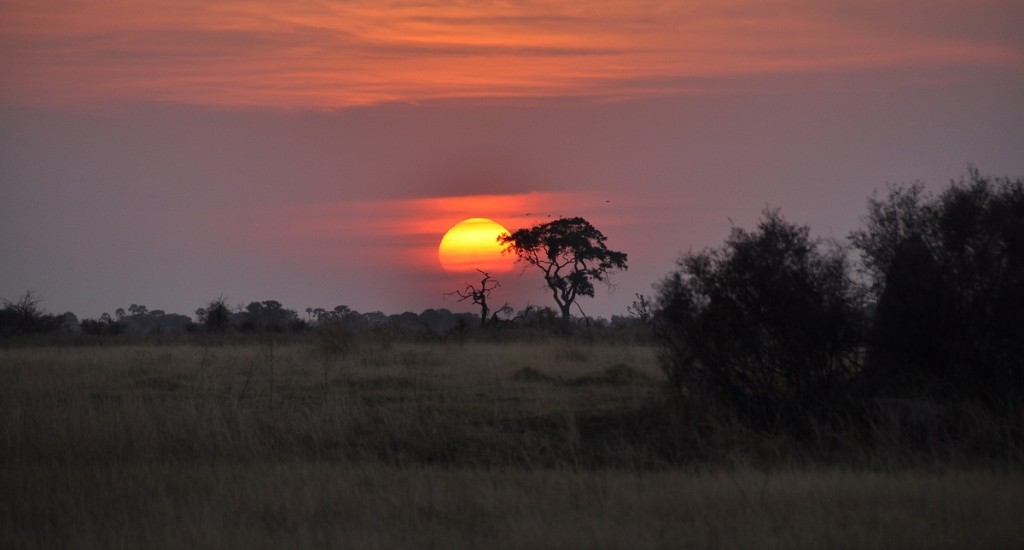 Okavango-Delta-Pixabay