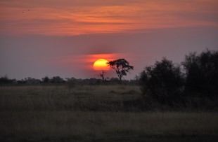 Okavango-Delta-Pixabay
