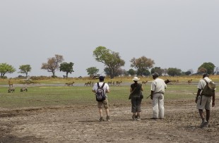 footsteps-across-delta-walking-safari-wetu