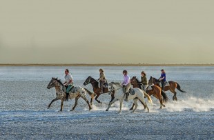 horse-riding-UASC-DH